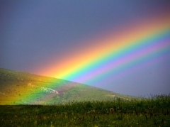 http://blognauki.in.ua/news/img/rainbow/rainbow-2-537x402.jpg